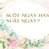 Xuất Ngày Hay Suốt Ngày