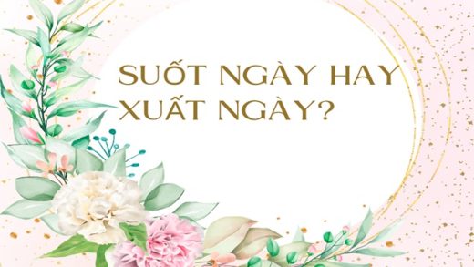 Xuất Ngày Hay Suốt Ngày